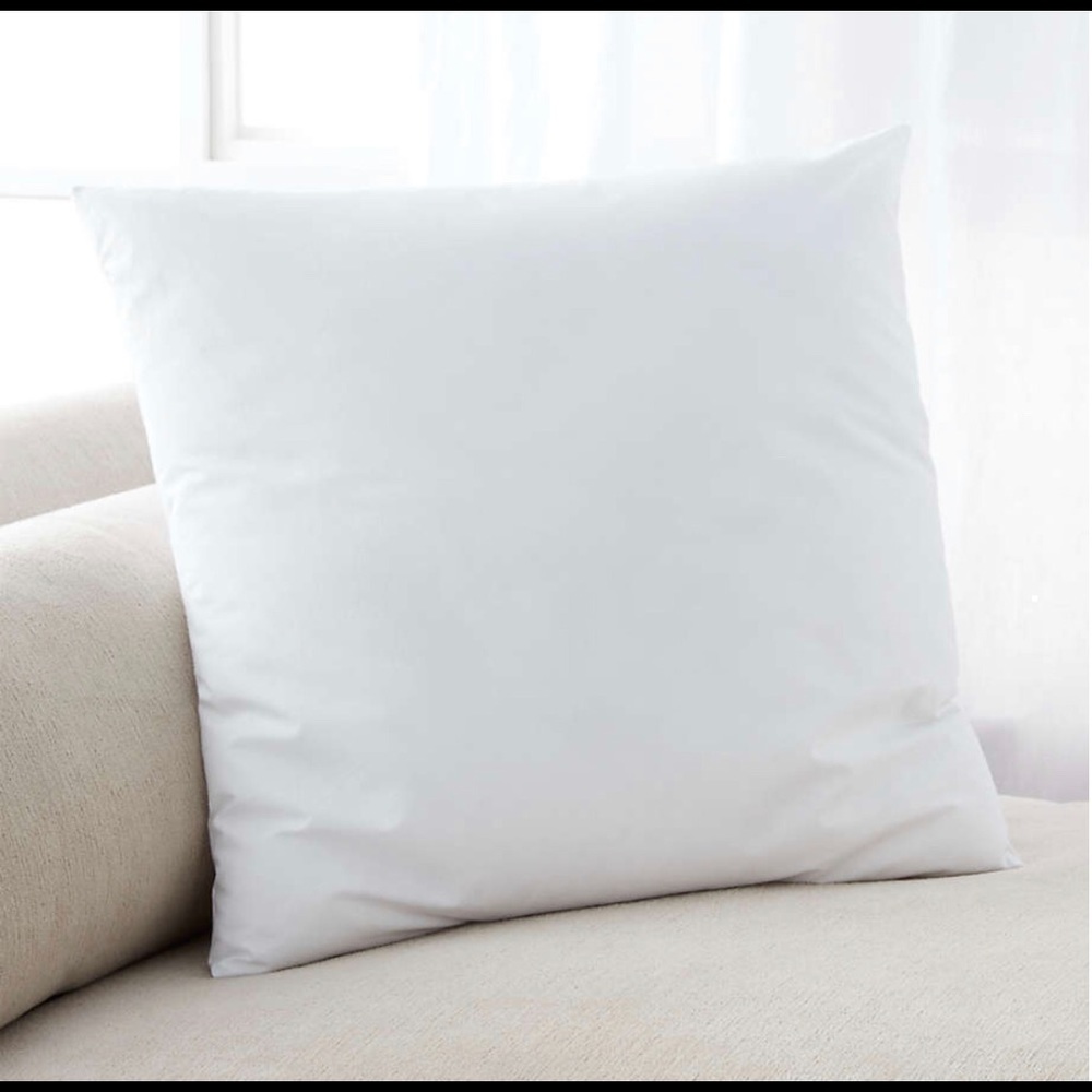 Pillow Insert